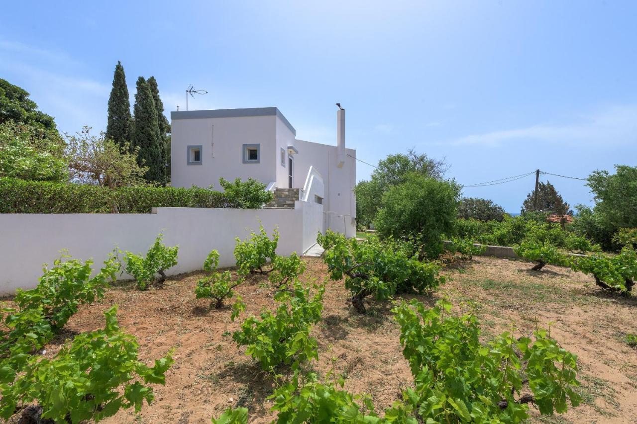 Villa Evelyn Pefki Esterno foto